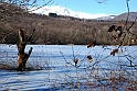 Lago Piccolo di Avigliana ghiacciato_078